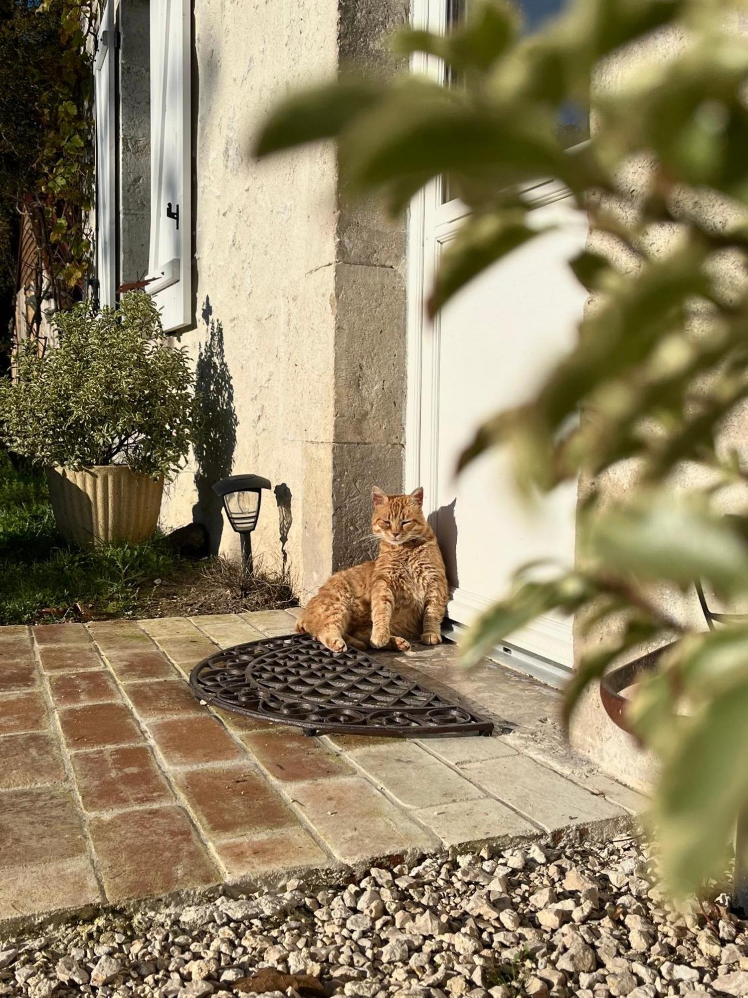Maison Moz Fontaines-en-Sologne Buitenkant foto